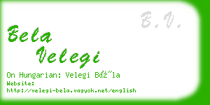 bela velegi business card